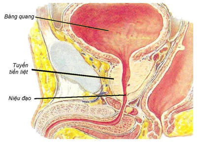 Hậu quả khi nam giới “tự sướng” - Ảnh 1.