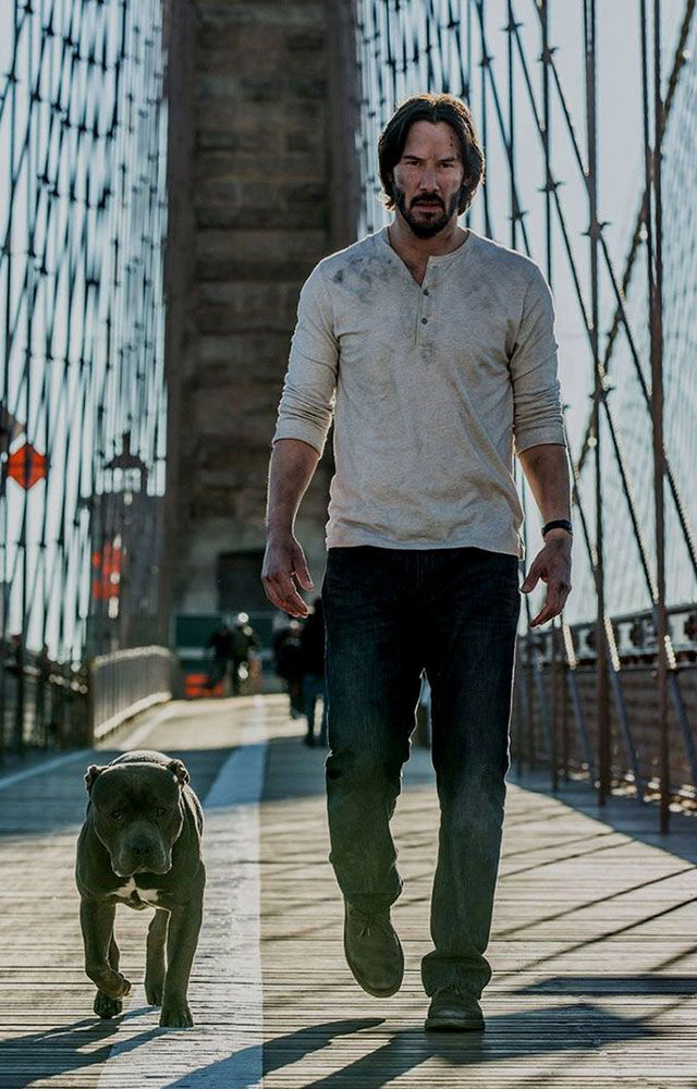 Sát thủ John Wick: Yêu chó điên cuồng trên phim còn sự thật ngoài đời ra sao? - Ảnh 3.