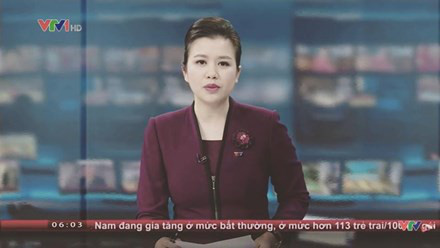 Những BTV, MC bất ngờ nghỉ việc ở VTV gây tiếc nuối - Ảnh 4.