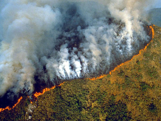Toàn cảnh Trái đất năm 2019 thực sự rực cháy theo đúng nghĩa đen: Amazon cháy kỷ lục, nhưng đằng sau còn vấn đề hết sức đáng lo ngại - Ảnh 4.