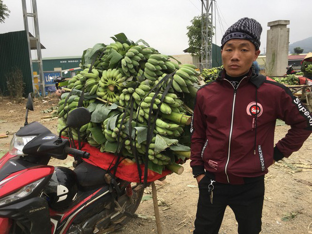 Trồng chuối, thu nhập hàng trăm triệu đồng/năm - Ảnh 5.