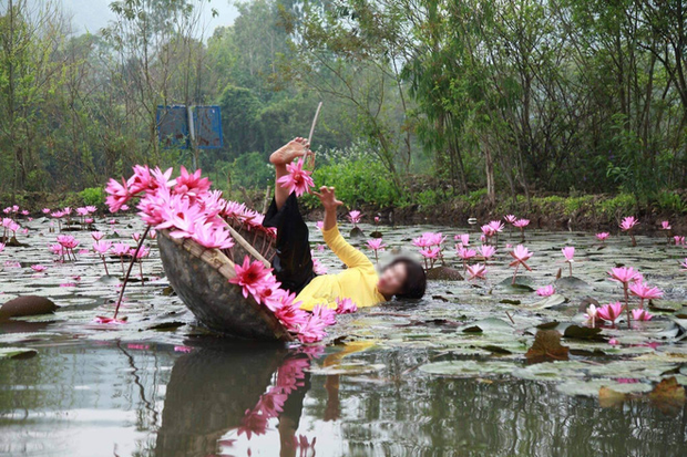 Mặc áo dài chèo thuyền chụp hoa súng và cú ngã lộn nhào như múa ba lê của người phụ nữ khiến dân mạng dở khóc dở cười - Ảnh 1.