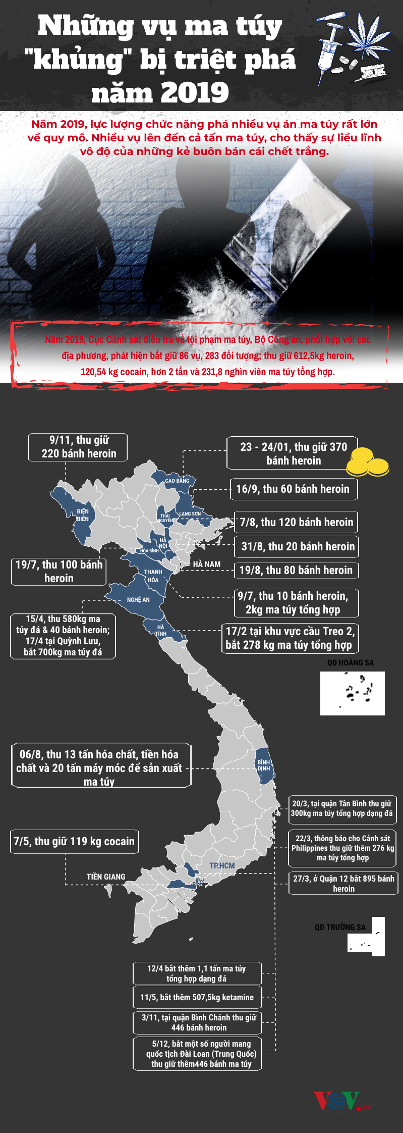 Inforgaphic: Những vụ ma túy “khủng” bị triệt phá năm 2019 - Ảnh 1.