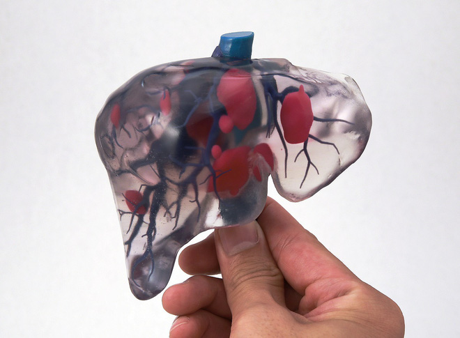 Những lá gan được in 3D sinh học sẽ tạo ra cuộc cách mạng trong lĩnh vực cấy ghép nội tạng - Ảnh 4.