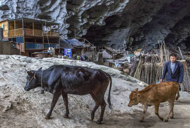 Ngôi làng đặc biệt của Trung Quốc: Khép kín hoàn toàn trong một hang động khổng lồ, chứa một trường học và khu du lịch sinh thái - Ảnh 5.