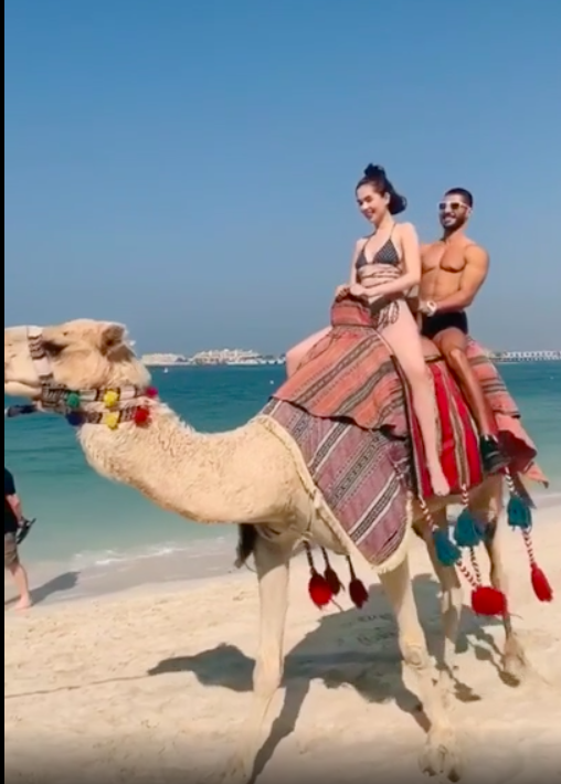 Ngọc Trinh mặc bikini gợi cảm cưỡi lạc đà tại Dubai - Ảnh 4.