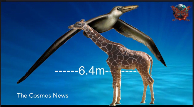 Loài người thật may mắn vì những loài chim ăn thịt khổng lồ này đã tuyệt chủng - Ảnh 2.