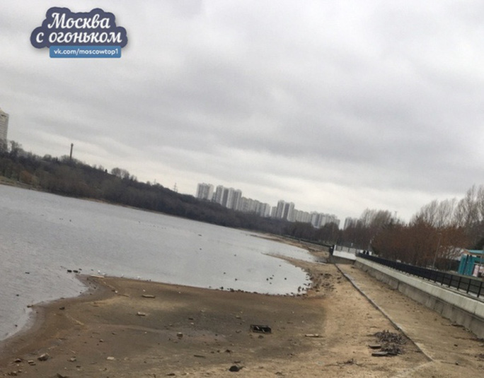 На дне москва. Москва река обмелела 2020. Обмелела Москва река 2020 Марьино. Обмеление Москвы реки. Обмелевшая Москва река.