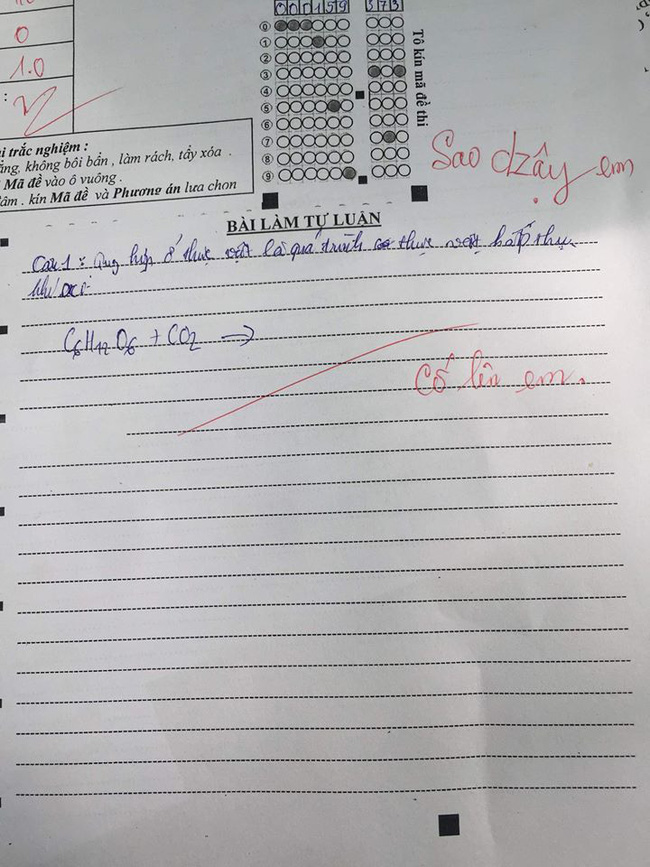 Học sinh để trống bài thi, cô giáo không quát mắng mà thả nhẹ 1 câu động viên, ai đọc cũng sụt sùi - Ảnh 1.