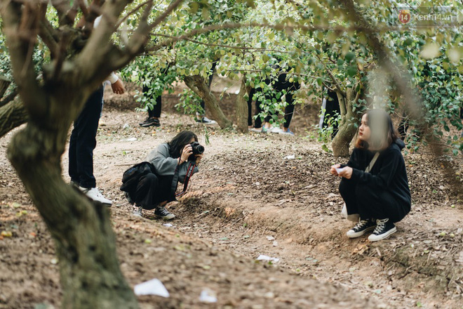 Khám phá vườn táo của trường Đại học rộng nhất Việt Nam, chỉ mất 15k là ăn tẹt ga lại còn được đống ảnh sống ảo - Ảnh 12.