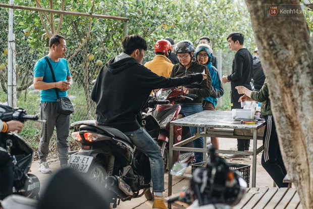 Khám phá vườn táo của trường Đại học rộng nhất Việt Nam, chỉ mất 15k là ăn tẹt ga lại còn được đống ảnh sống ảo - Ảnh 4.