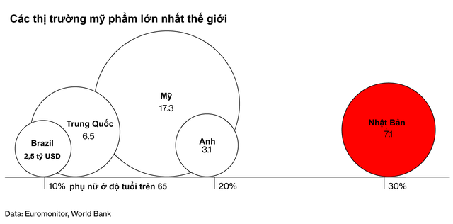 Dân số già được coi là cơn ác mộng của nhiều quốc gia, nhưng lại là mỏ vàng cho ngành công nghiệp hàng chục tỷ USD này! - Ảnh 1.