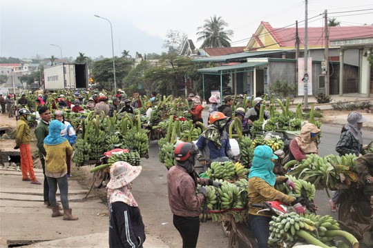 Nhộn nhịp chợ chuối vùng biên lớn nhất Quảng Trị - Ảnh 2.