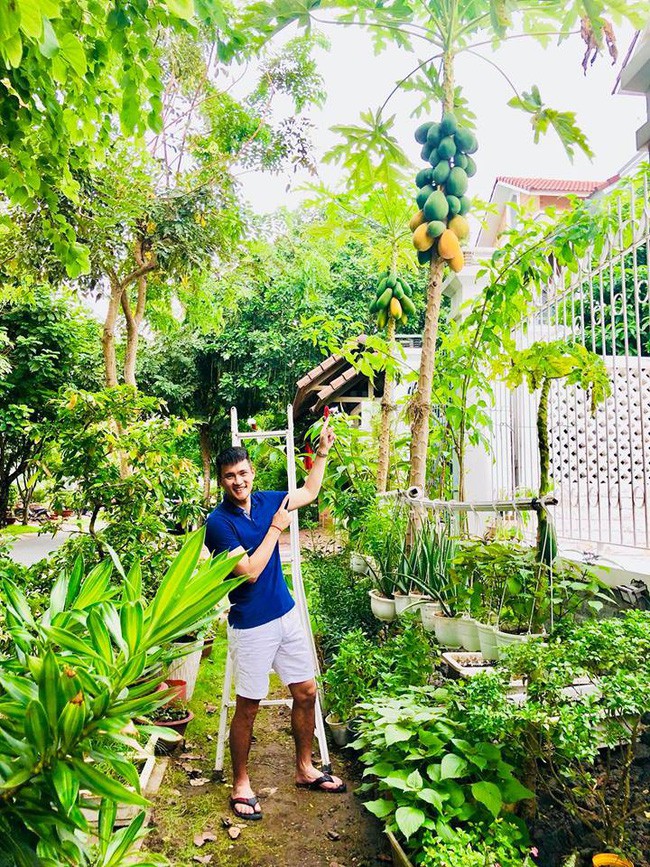 Vợ chồng Công Vinh - Thủy Tiên vui vẻ thu hoạch rau quả ...