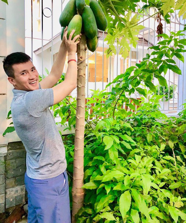 Vợ chồng Công Vinh – Thủy Tiên vui vẻ thu hoạch rau quả sạch trong vườn nhà - Ảnh 5.