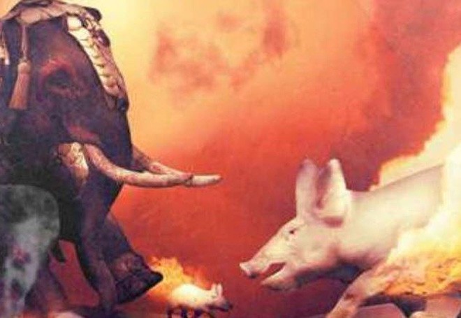 Câu chuyện về War Pig và Pig War và : từ những con lợn quật ngã cả voi, đến nguy cơ gây đại chiến giữa 2 cường quốc - Ảnh 7.