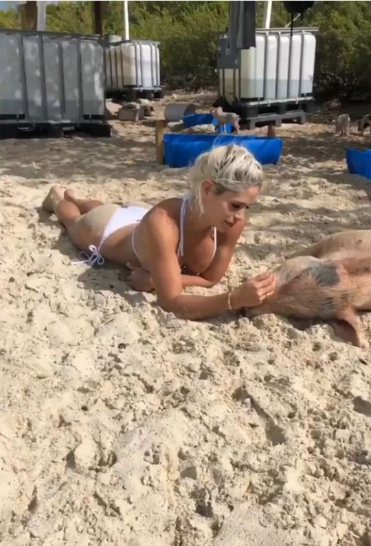 Mỹ nhân nóng bỏng diện bikini chụp ảnh cùng đàn lợn và cái kết hài hước - Ảnh 2.
