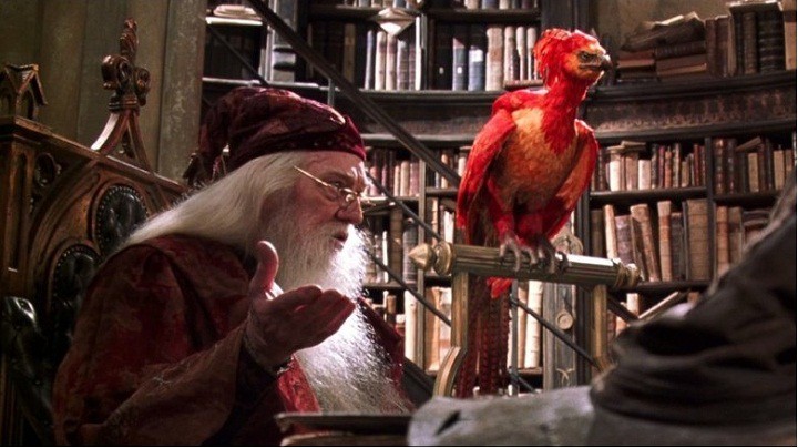 10 chi tiết khiến J.K. Rowling hối tiếc nhất trong Harry Potter - Ảnh 9.