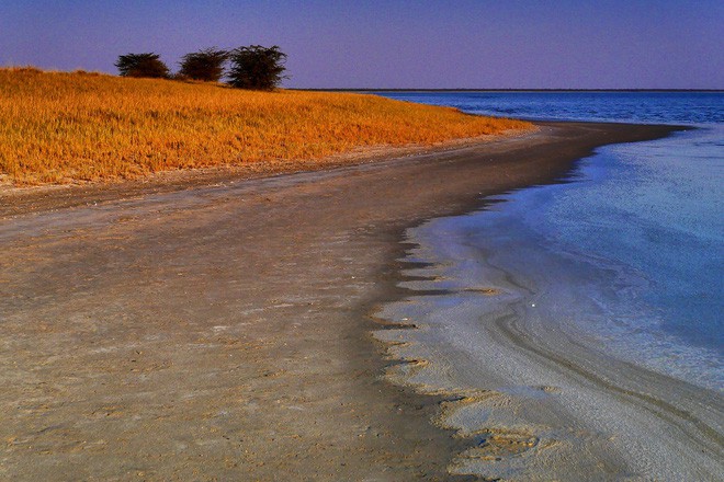 Choáng với sự sống đẹp huy hoàng tại chảo muối được mệnh danh là Vùng đất chết - Ảnh 10.