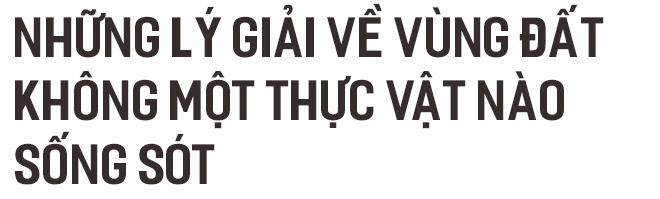 Bí ẩn kỳ dị tại Vòng tròn của Quỷ ở Mỹ: Thách thức khoa học hàng trăm năm - Ảnh 4.