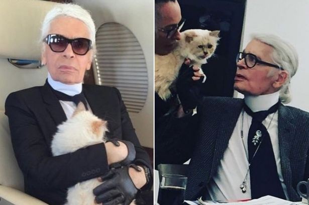 Cuộc sống vương giả của mèo Choupette - tình yêu lớn nhất đời Karl Lagerfeld - Ảnh 14.