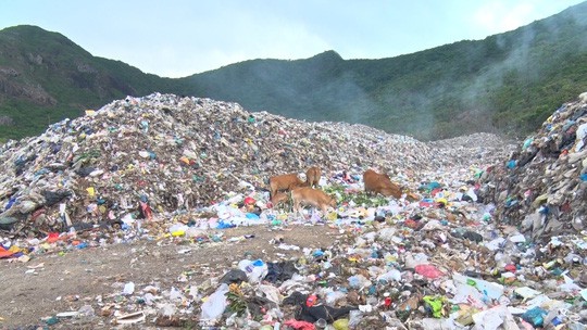 Chi hơn 35 tỉ đồng, chuyển 70.000 tấn rác từ Côn Đảo về đất liền xử lý - Ảnh 5.