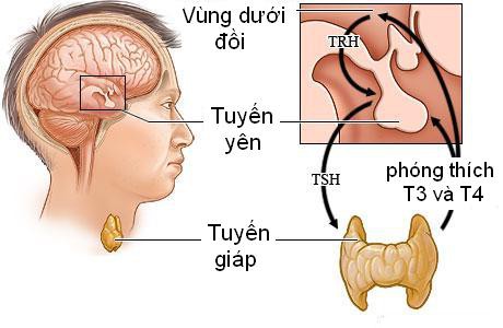 Những lý do khiến bạn không thể giảm cân - Ảnh 1.