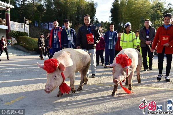 Công ty Trung Quốc chơi trội khi thưởng Tết nhân viên xuất sắc 2 con lợn - Ảnh 1.
