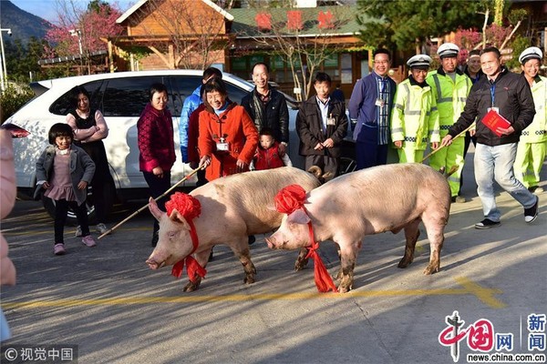Công ty Trung Quốc chơi trội khi thưởng Tết nhân viên xuất sắc 2 con lợn - Ảnh 2.