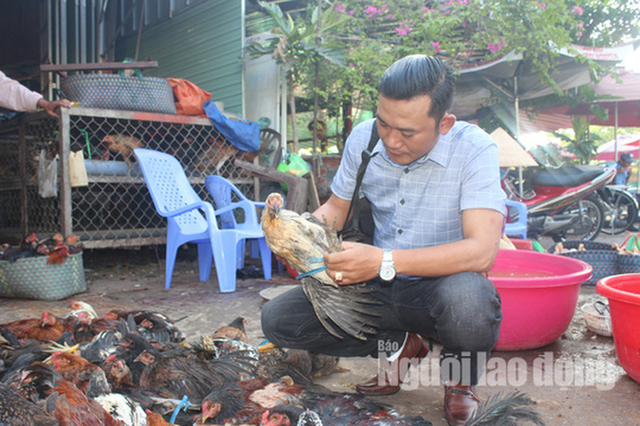 Mùng 3 Tết, gà trống ta thả vườn chân vàng cháy hàng - Ảnh 2.