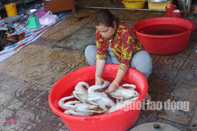 Mùng 3 Tết, gà trống ta thả vườn chân vàng cháy hàng - Ảnh 8.