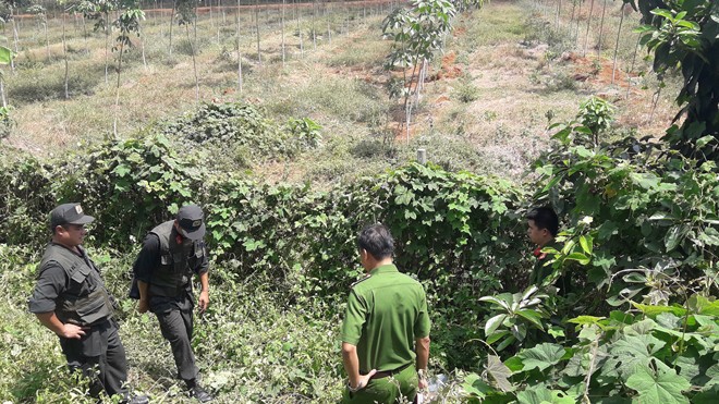 Mang súng vào trạm thu phí cướp tiền: Đưa 1 phụ nữ đến hiện trường phối hợp với CQĐT - Ảnh 1.