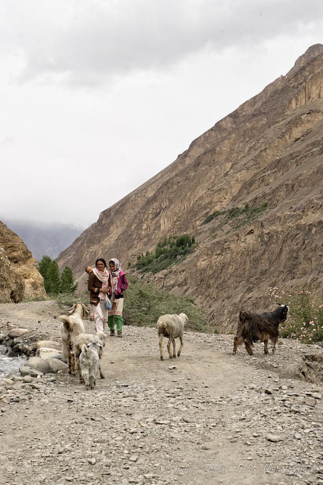 Ngôi làng kỳ lạ tại Pakistan: Phụ nữ muốn leo núi đến kiệt quệ mới thấy hạnh phúc - Ảnh 4.