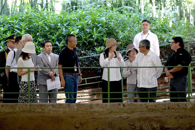 Mako nàng công chúa Nhật Bản: Rời hoàng tộc vì tình yêu, chấp nhận chờ hoàng tử trả nợ xong mới cưới - Ảnh 9.