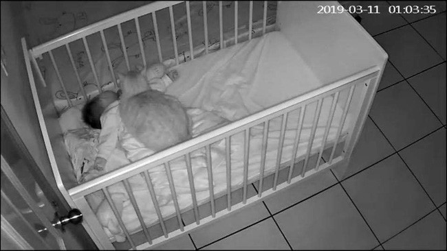 Bức ảnh em bé sơ sinh ngủ say trong cũi cùng chú mèo mập ú khiến cộng đồng mạng tranh cãi kịch liệt - Ảnh 1.