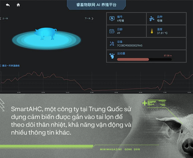 Trung Quốc chống lại dịch tả lợn châu Phi bằng công nghệ nhận diện mặt lợn như thế nào? - Ảnh 3.