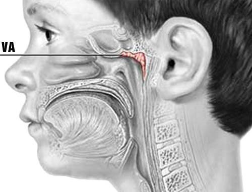 Con gái 4 tuổi càng lớn càng thay đổi, bố mẹ lo sợ không phải con ruột, đưa đến bệnh viện kiểm tra thì phát hiện sự thật bất ngờ - Ảnh 3.