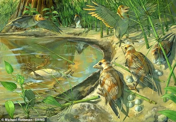 Phát hiện trứng hóa thạch trong xác chim tiền sử 110 triệu năm tuổi - Ảnh 1.