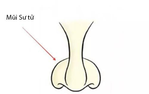 Phụ nữ sở hữu 3 tướng mũi này thì cả đời không lo cơm áo gạo tiền, hậu vận không những giàu có mà còn sung túc viên mãn - Ảnh 1.