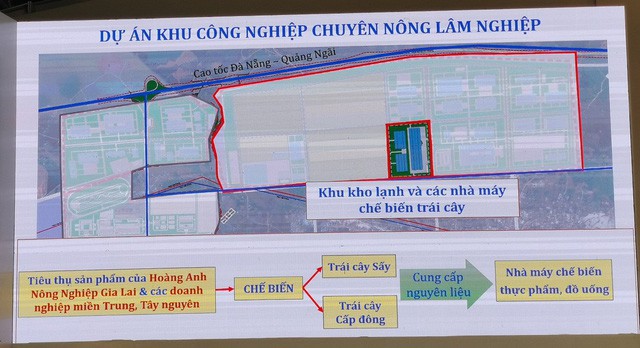 Thaco rót thêm chục nghìn tỷ đồng cho các dự án nông nghiệp, bao tiêu trái cây cho HAGL Agrico - Ảnh 3.