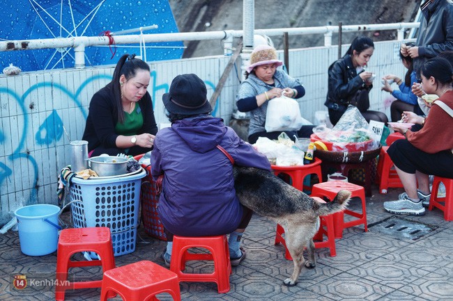 Câu chuyện đáng yêu của người phụ nữ bán vé số và chú chó lang thang ở Đà Lạt - Ảnh 2.