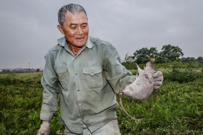 Liều mình nếm thử món thịt chuột Việt Nam, nhà báo Mỹ ca ngợi ngon như phô mai que - Ảnh 2.