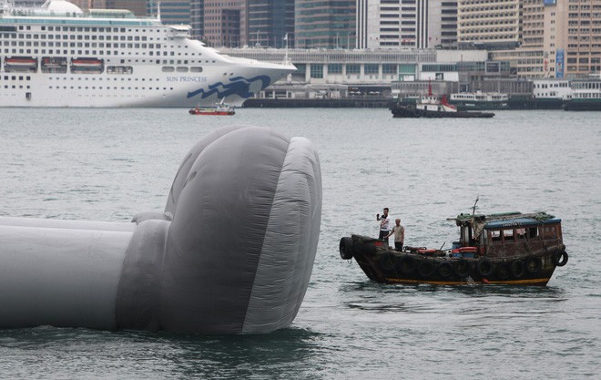 Nhìn người bạn cao su 40 tấn lững lờ trôi ở Hồng Kông, ai cũng ước có 1 ngày được nằm thảnh thơi ngắm mây trời như thế - Ảnh 14.