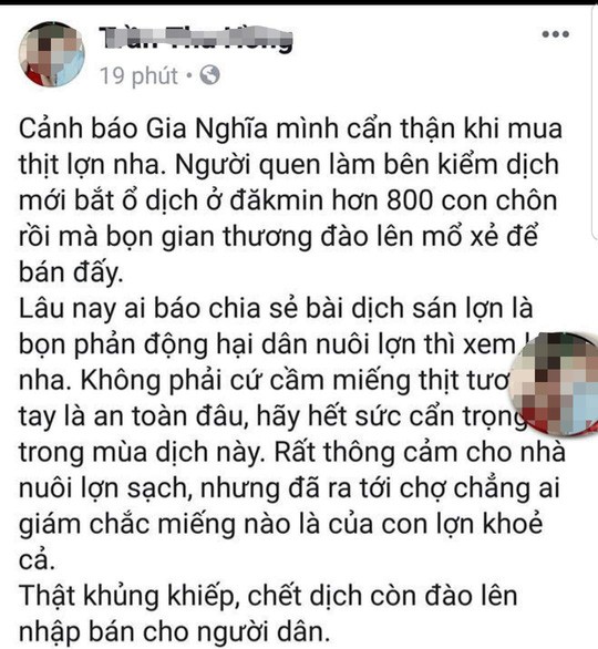 Bị phạt 10 triệu đồng vì bịa đặt thông tin đào 800 con heo bệnh lên bán - Ảnh 1.