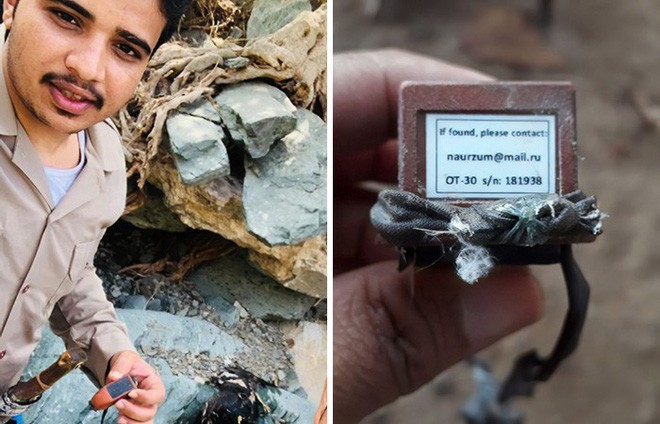 Con đại bàng với thiết bị GPS cho thấy hành trình ngàn dặm của nó sau 20 năm đáng nể như thế nào - Ảnh 2. Con đại bàng với thiết bị GPS cho thấy hành trình ngàn dặm của nó sau 20 năm đáng nể như thế nào - Ảnh 2.