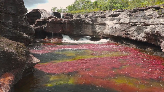 Đây là con sông đẹp nhất thế giới: Lung linh 5 màu sắc, được mệnh danh là cầu vồng sống vi diệu nhất - Ảnh 1.