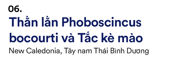 Quái thú bất ngờ sống dậy từ cõi chết sau ngàn năm: Giới khoa học ngạc nhiên tột độ - Ảnh 11.