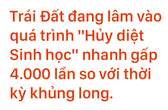 Đại tuyệt chủng thứ 6: Mồ chôn thế kỷ 21 biến Trái Đất, con người về thời nguyên sơ? - Ảnh 5.