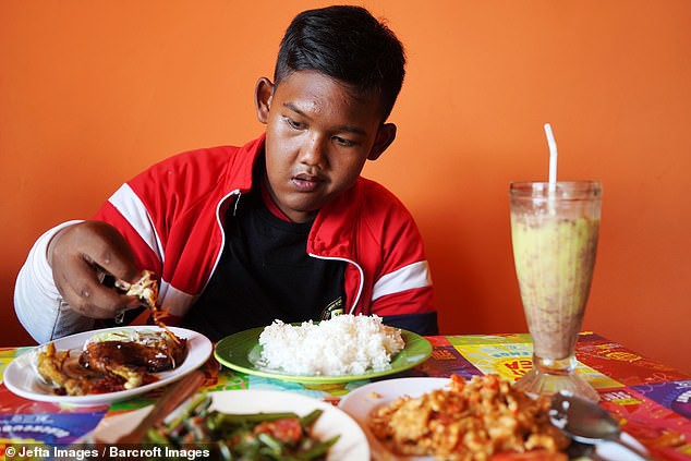 Từng được coi là ‘bé trai nặng nhất thế giới’, cậu bé Indonesia béo đến không thể đi học nổi giờ ra sao - Ảnh 7.