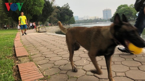Kinh hãi chó không rọ mõm chạy rông trong công viên Thống Nhất - Ảnh 3.